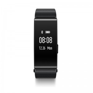 Huawei TalkBand B2